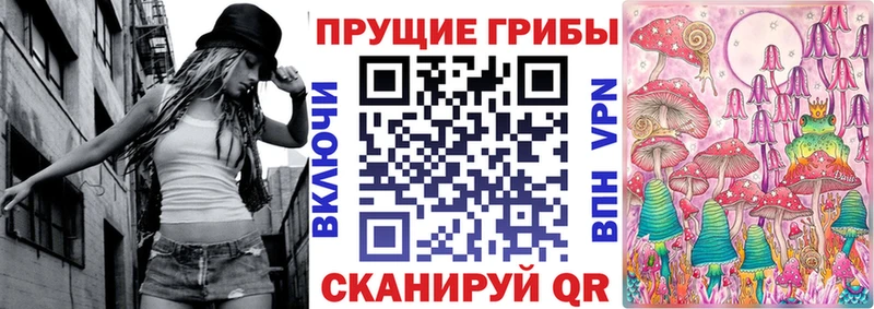Псилоцибиновые грибы Cubensis  Чусовой 