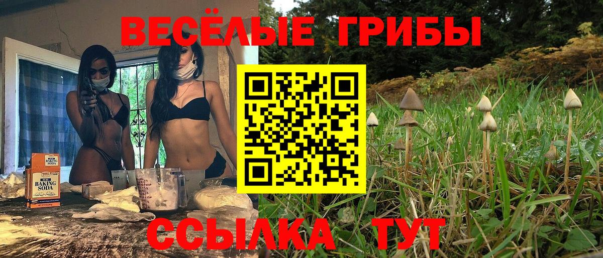 Псилоцибиновые грибы MAGIC MUSHROOMS Чусовой
