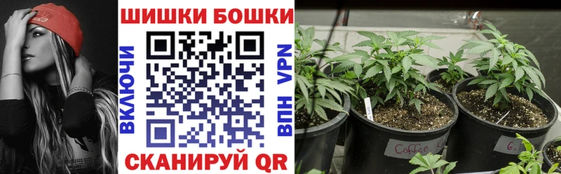 где купить Чусовой Бошки Шишки сатива